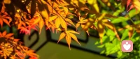 趁時光正好，趁微風不燥，多出去走走，看看不同的風景，接觸不同的人和事，你會發現，你的煩惱原來是那么微不足道。時間，會把最正確的人帶到你的身邊。

早安！??配圖