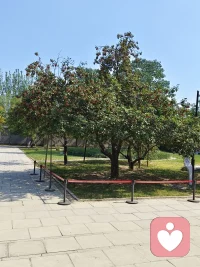 人生看似是一輩子，
??其實只不過為三天，昨天、今天和明天。
?昨天就是過去，今天就是現在，明天就是未來。
?昨天已過，明天還沒有到來，咱們要做的就是把握今天，認真過好當下！配圖