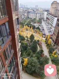 別把人生想得太難。走過生命的歷旅，人生滄桑，誰都會彷徨，誰都會憂傷，會有苦雨寒簫的幽怨，也會有月落烏啼的悲涼，但有限的生命不允許我們揮霍那份屬于人生的酸辣苦甜，經(jīng)歷了風(fēng)寒陰霾的苦礪，才會破繭在陽光明媚的日子。