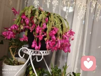 奮斗就是每天很難，可一年一年卻越來越容易；不奮斗就是每天都很容易，可一年一年越來越難。如果你停止，就是谷底。如果你還在繼續，就是上坡。這是我聽過關于人生低谷最好的闡述。配圖