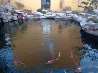 魚兒擅長游泳，鳥兒擅長飛翔，在適合自己的位置才能發揮出最大的優勢配圖