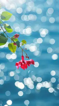 四季輪回，時(shí)光流逝。
我們常常感嘆歲月的匆促，
生活的不易。但是，請一定要記住，
無論現(xiàn)在有多么難熬，
總有一個(gè)春天，為你而明媚。配圖