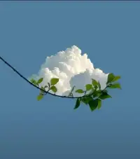 真正的強(qiáng)大不是對抗，而是允許一切發(fā)生，允許遺憾、愚蠢、丑陋、虛偽，允許付出不計(jì)得失。允許自己做自己，允許別人做別人。讓花成花，讓樹成樹。擇其善者而從之，其不善者而改之。漸漸的你會(huì)變成一個(gè)柔軟，舒展，放松的人。配圖