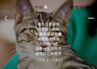 其實(shí)你愛我像誰
扮演什么角色我都會
快不快樂我無所謂
為了你開心我忘記了累不累
其實(shí)你愛我像誰
任何的表情我都能給
Woo在你身上學(xué)會流眼淚

我什么都沒有
只是有一點(diǎn)吵
如果你感到寂寞
我?guī)Ыo你熱鬧
為你繞一繞
沒有什么大不了
卻可以讓你微笑

其實(shí)我很煩惱
只是你看不到
如果我也不開心
怕你轉(zhuǎn)身就逃
愛上一個(gè)人
一定要讓他相信
這世界多么美好

對每個(gè)人都說還好
我的心我的情你不需要明了
只要我對你好
這樣的溫柔你要不要配圖