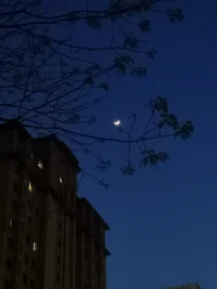 成年人的世界，各有各的難言之隱，各有各的身不由己。那些不能訴說的心事，無人共鳴的情緒，有人放在了酒里，有人放在了音樂里，有人放在深夜里。你也可以找我聊聊。。。配圖
