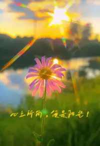 心之所向，便是阳光，
无所畏惧，便是远方，
人生最幸福的事，不是活的像别人，
而是在努力之后，活的更像自己！