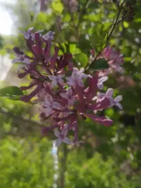 愛自己的六個境界
1.覺察（自己的言行，狀態）
2.接納（智慧的接納）
3.自愛（自愛是一個愛惜自己的身體，愛
惜自己的靈魂，愛惜自己內在。）
4.成長（給大腦充電）
5.自信（陽光，充滿能量）
6博愛（愛世界的能力）配圖