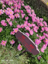 如何讓自己變得更好?第一：情緒穩(wěn)定。第二：學(xué)會悅己。第三：學(xué)會接受。第四：學(xué)會獨行。第五：學(xué)會斷舍離。第六：學(xué)會借力借勢。第七：堅持學(xué)習(xí)，提高認(rèn)知。第八：努力破圈。大家共勉努力做到配圖