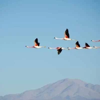 當(dāng)你確定了自己的原則之后，就不要一再的退讓，去學(xué)會(huì)說(shuō)不，學(xué)會(huì)去做自己。別為了拒絕靈魂的寂寞，把太多人拉到你生命中來(lái)，你不是誰(shuí)的主角，沒誰(shuí)是你的主宰。配圖
