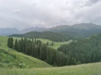 真正幸福的家庭，一定是一個邊界清晰、職責分明的家庭。一家人各自干好分內的事，絕不越俎代庖，也不敷衍搪塞。如此，家庭才能越來越和諧、興旺，教育便也能水到渠成。配圖