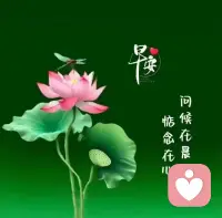 “人生是用來體驗的，不是用來演繹完美的。我慢慢能原諒自己的遲鈍和平庸，允許自己出錯，允許自己偶爾斷電，帶著缺憾拼命綻放，這是與自己達成和解的唯一方法。我們很難做好每件事，盡力就好，愿你能放下焦慮，放過自己。”配圖
