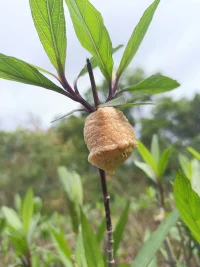 我在等你配圖