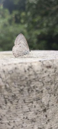 “在我的世界里，我感覺我在wink”，最近寶力龜龜牛的抖音著迷了，有意思。配圖