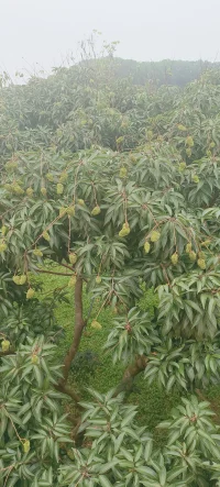 心靈的花園需要陽光和雨露，我們一起攜手，澆灌內心的每一寸土地，讓健康與成長的花朵絢爛綻放。配圖