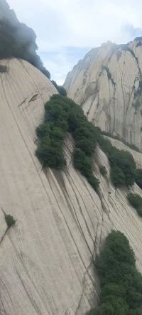 嘴角向上挑的人心胸開闊
嘴角向前撇的人持懷疑態度
嘴角向前噘的人防御心較重
嘴巴抿成一字形的人具有堅強的意志力配圖