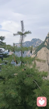 “未經過你的同意，沒人能讓你覺得自卑！”
                ——電影《公主日記》配圖