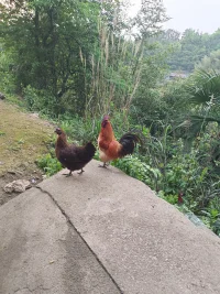 【脱敏阶段】是心理学中一个非常特殊的概念，它指的是通过反复暴露于令我们感到痛苦或焦虑的情境中，逐渐降低对这种情境的敏感性，最终达到心理上的适应和恢复。在情感领域，它意味着直面那些让你痛苦的人或事，直到你不再被它们所困扰。  
我们常常在情感中陷入一种“逃避模式”。明明知道对方已经不爱自己，却依然抱着幻想，不愿意面对现实。这种逃避只会让痛苦无限延长，甚至让我们陷入自我怀疑和否定。 配图
