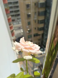 别人眼中的你不是你，你眼中的你不是你，你眼中的别人才是你！配图