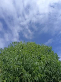 遇事緩一緩，說(shuō)話停一停，很多東西就讓時(shí)間來(lái)證明，對(duì)了最好，錯(cuò)了頂多就是經(jīng)歷，事緩則圓，人緩則安，好的人生不慌不忙，穩(wěn)穩(wěn)當(dāng)當(dāng)！
生活可以是甜的，也可以是苦的，但不能是沒(méi)有味道的。值得高興的事很多，別把目光總放在那些不愉快的事情上