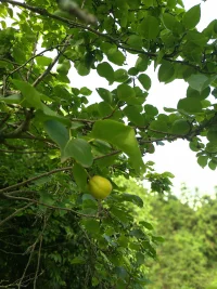 生活有時(shí)沉悶，但跑起來(lái)就會(huì)有風(fēng)！