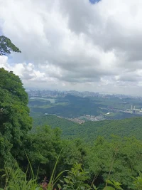 回避型依戀最致命的“陷阱
他們會(huì)在無(wú)意識(shí)中“測(cè)試”伴侶的愛(ài)——你越急著證明“我在乎”，他們?cè)綉岩伞斑@是暫時(shí)的”；你越妥協(xié)退讓，他們?cè)接X(jué)得“你看，我就說(shuō)吧，愛(ài)是會(huì)消失的”。
“回避依戀循環(huán)”體現(xiàn)地淋漓盡致：你靠近→ta害怕→ta推開(kāi)→你覺(jué)得“ta不愛(ài)我”→你更用力靠近→ta更用力推開(kāi)……
但真相是：回避型依戀者的“推開(kāi)”，從來(lái)不是因?yàn)槟悴粔蚝茫撬麄冊(cè)诤屯甑淖约骸按蚣堋薄?他們需要的不是“被拯救”，而是一面能照見(jiàn)真實(shí)自我的鏡子來(lái)告訴ta：“我知道你不是不需要愛(ài)，你只是太害怕受傷了