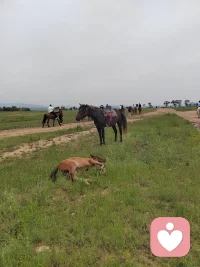 人是怎样一步步实现自我突破的：
第一关，心比天高，急于求成。
第二关，屡战屡败，心灰意冷。
第三关，跌入谷底，孤立无援。
第四关，自我否定，自我设限。
第五关，接纳自我，重塑信心。
第六关，努力学习，改变自己。
第七关，不断尝试，小有成就。
第八关，戒骄戒躁，控制风险。
第九关，看透人性，避免犯错。
第十关，破茧成蝶，返璞归真。