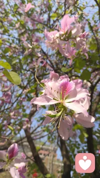 纪念张雪峰
【普通人逆袭，先记住张雪峰这9句忠告】
01.关于就业：文科优先选“学校”，理工优先选“专业”。
02.关于人脉：如果你没本事，人脉就是个笑话。
03.关于原生家庭：普通家庭不要为了“情怀”去选择专业。
04.关于考公：不要为了“好考”去考偏远地区。
05.关于认知：信息差是普通人最大的绊脚石。
06.关于努力：方向不对，努力白费。
07.关于贵人：贵人是“求”不来的，是“配”得上的。
08.关于财富：普通人的第一桶金，通常是“攒”出来的，不是“挣”出来的。
09.关于选择：选择大于努力，但普通人试错的成本极高。[太阳]