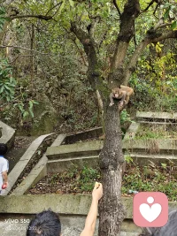 【低配得感】
本质是内心自我价值感匮乏，总觉得自己不配拥有美好、偏爱与成功。日常遇事习惯退缩怕争取，被夸奖时急于否认，享受美好事物会心生愧疚，待人容易讨好迁就，不敢提需求、怕辜负关系，收获成果也总担心转瞬失去。大多源于童年有条件的关爱、长期否定打压与攀比教育，慢慢固化成自卑心结。想要改善，先学会觉察负面心念，分清执念与事实；坦然接纳赞美，不贬低自己；日常多给自己微小偏爱，用正向话语替换自我否定；坚持记录自身优势与成就，慢慢积累底气，逐步建立安稳自信，养成从容的高配得感配图