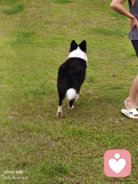 【为什么你不快乐？因为你总是在期待一个结果。】
你帮了别人的忙，希望别人给你回报，回报不了你就带着埋怨和怨恨。
人们都希望通过自己的行为，来获得某种回馈。
但你的这些付出，不一定都能换来同等的回报。
你如果深谙人性，就不要在付出的时候有太多的期待。
你对别人好，是你自己心甘情愿，是因为你觉得值得。
只管耕耘，不问收获，遇到烂人烂事就买单离场，彻底翻篇。
这不是让你做一个烂好人，而是要你接纳人性的无常，用一种无所求的心来保护自己。
不让自己受磨损，才能守护好内心的平静和秩序。配图