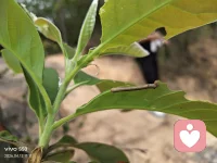 当下和当下发生的事的区别，前者是后者发生的空间，比后者更为深刻。
我不是我的思想 情感 感知或经历，也不是生活的内容。我是生命的本身，是一切事物发生的空间，我是意识，是当下，是“我是”。配图