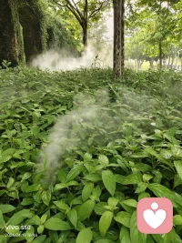 有时候咨询师的使命
就如同守护一颗蛋的温度，
不强行撬开，
不急于改变，
静待它从内部觉醒，
长出属于自己的的翅膀。配图