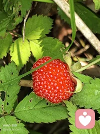 生活中遇到的问题并不总是源于外界，而是源于内在的未被清理的程序。