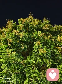自己喜欢的人或事，往往都喜欢你不喜欢的方式和Ta“交流”！