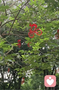 生活的本质是变化，而人类的本性是抗拒变化。