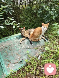 失败是生而为人的一部分。
我自己不想变其实是害怕你得逞。