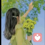 禾一的头像