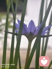 2026.10.7美好三件事
1.…感恩...atsm的案例…管教不是只盯着“不许吐”，先看见他背后那份想被看见、想拥有一点自我边界的渴望；再温和立规则，陪他承担清理的后果，而不是一味羞辱指责。

2.....感恩..adsm的案例...     他未必是故意搞破坏，而是心里有说不出的憋闷、不被看见的存在感，找不到合适的表达方式，就用这种粗糙的方式向外释放。

3.…感恩...nnxc的案例..十二岁，正走到权威我的关键期。
孩子往楼梯间地上、墙上吐痰，时间久了留下黑乎乎的印子，很多家长只看见不讲卫生、没教养，急着批评、贴标签。
其实这脏印，不只是墙面的脏，更是他内在积压能量的出口。