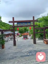 2026.10.8美好三件事
1.…感恩...atpcql的案例…有意思的是：嘴上说得轻慢，行动却诚实——他愿意走过去、跟他们一起上学。
嘴是觉醒期的铠甲，脚才是他真实的心意。

2.....感恩..satsx的案例...     权威我的本能，常常是“先把自己放到高处”，并不是本性坏。

3.…感恩...lsazz的案例..是刚长出来的自我，急着找存在感；他在用一个轻飘飘、带着贬低的词，试探自己的话语权、确认自己的位置。