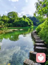 优秀到你喜欢的那个人，他不付出就得不到你；
优秀到轮到你来权衡感情里的利弊；
优秀到失去任何人，你都能稳如泰山；
优秀到你自己便是一整个世界，生活丰富，日子忙到不够自己潇洒玩乐；
优秀到内心富足丰盈，再也不会因为缺陪伴而孤独；
优秀到从往后每一天，不用刻意迁就、讨好任何一个人；
优秀到别人靠近你，是因为欣赏你的光芒，而非你的卑微迁就；
优秀到选择权永远握在自己手里，来去随心，取舍由己；
优秀到不靠任何人撑腰，自身就是避风港。