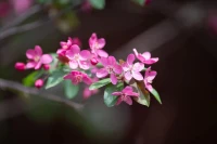 每個人都有自己的創(chuàng)傷，
或大或小，?或深或淺，或多或少……
?從這個角度可以把所有人大概分成三種類型
?
?? ?努力治愈自己型
?? ?對創(chuàng)傷一無所知型
?? 知道了也躺平型

你是哪一種？
?配圖