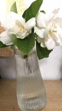 今年的前兩朵梔子花來了，媽媽的小菜園長勢良好，帥哥的研究生也馬上畢業了，馬上開始小米總部的職場生涯，一切都很好，我創造我生活的美好環境。[咖啡][咖啡][咖啡]配圖