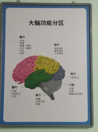 接來訪，我都先看看Ta有沒被拉黑的記錄，有的被拉黑了一百多次，這樣的人擁有怎樣的人生？Ta在怎樣活自己＂不健康＂的生命？我不想浪費我寶貴的時間與之對話。只能祝好送走……配圖