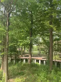 放下無謂的擔(dān)憂，迎接未知的挑戰(zhàn)。在成長的旅途中，勇敢面對自己，發(fā)現(xiàn)內(nèi)心的力量與可能。只有敢于跨出舒適圈，我們才能不斷超越，找到真正的自我。配圖
