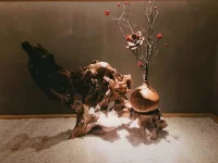 你遇到的人，都是你吸引来的，你是谁就会遇见谁。

一切都是你内心的照见，“心不唤物，物不至”！

你内心不美好，遇见美好，你也看不见，留不住。

只要你真诚待人，即使暂时不被某人不珍惜，也自然会有其他人来珍惜你。

事出自愿，不谈亏欠，你若真诚，我便真诚以待，心随花开；你若虚伪，我便转身离去，守心自暖

你所经历的一切，无论好坏，都让你变得更加完整和丰富，让你遇见更好的自己和更加珍惜现在的拥有。你失去的将以另一种方式回馈给你。

对于那些辜负你、伤害你的人，你根本无需在意，智者会选择忽略，强者会选择原谅，因为烂掉的水果自会从树上掉落。配图