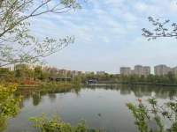 一段婚姻，選擇放棄比選擇面對(duì)要容易太多了。

因?yàn)槊鎸?duì)就意味著承認(rèn)，但是只有承認(rèn)才能成長(zhǎng)。

因?yàn)樵诔晒?fù)合這條路上99%的人，是那些能夠面對(duì)創(chuàng)傷后學(xué)會(huì)反脆弱的人。

反脆弱是比強(qiáng)大還要強(qiáng)大的詞。它意味著你變得超有彈性，你的自愈力變強(qiáng)，并從中學(xué)會(huì)了治愈別人內(nèi)心的能力。

這不是簡(jiǎn)單的改變，而是脫胎換骨的蛻變。配圖