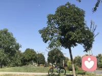 我們總是喜歡不停的揣測對方的心情，不停的猜忌對方的想法，然后開始惶恐不安開始患得患失，開始責怪自己哪里做的不夠好，事實告訴你太過在乎就是失去的開始。配圖