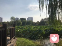 ?傷痛總是令人難受的，但是，如果能很好的面對，它能教你成為一個更好的人。配圖