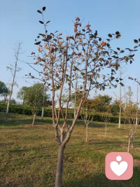 你靠近什麼樣的人，
就會走什麼樣的路; 
窮人教你節衣縮食，
小人教你坑蒙拐騙。         
自律的人教你如何上進， 
成功的人教你如何進步！配圖