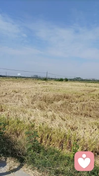 心理學(xué)上的研究發(fā)現(xiàn)，對男人而言，冷暴力的傷害程度非常小，但是，對女人的傷害程度成倍增加。
當(dāng)一個女人遭遇冷暴力，血壓會迅速升高，情緒會迅速紊亂，自我貶損得幾乎絕望，不知道該何去何從。配圖