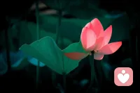 當你認識到“我”是重要的，“我們的關系”是重要的時候，請問還有什么問題呢？配圖